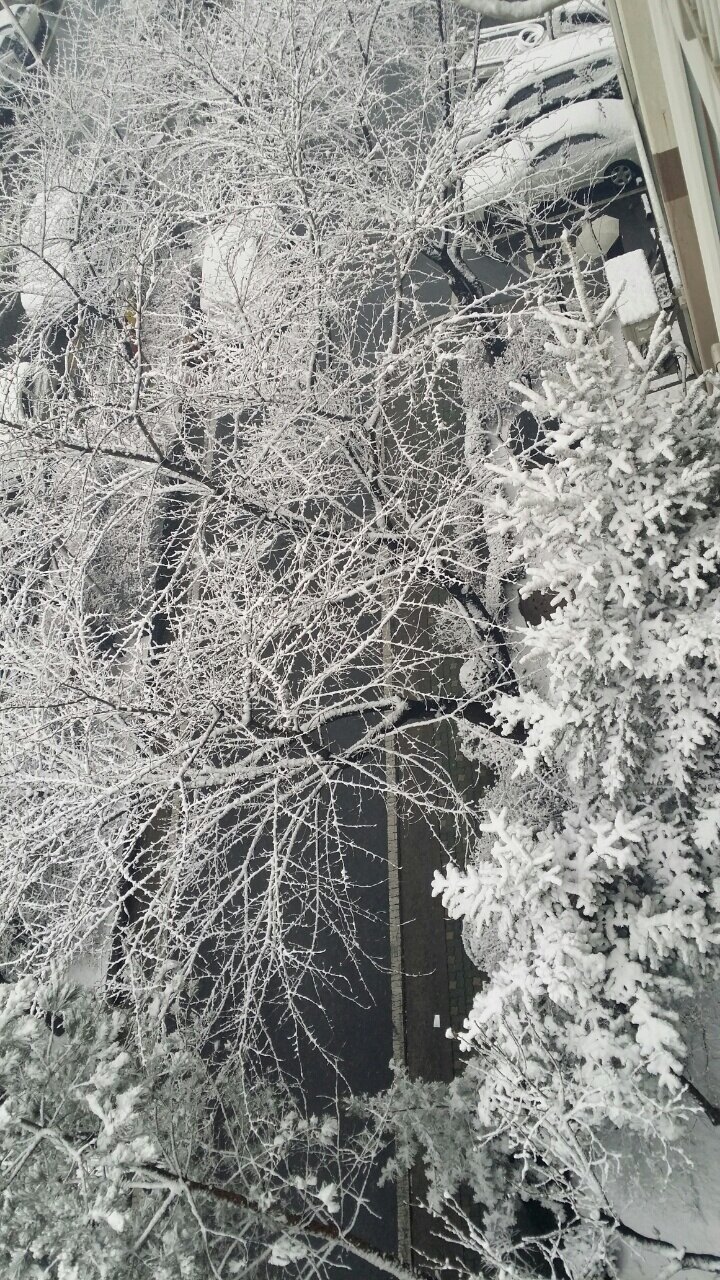 초롱앤보들님의 서재