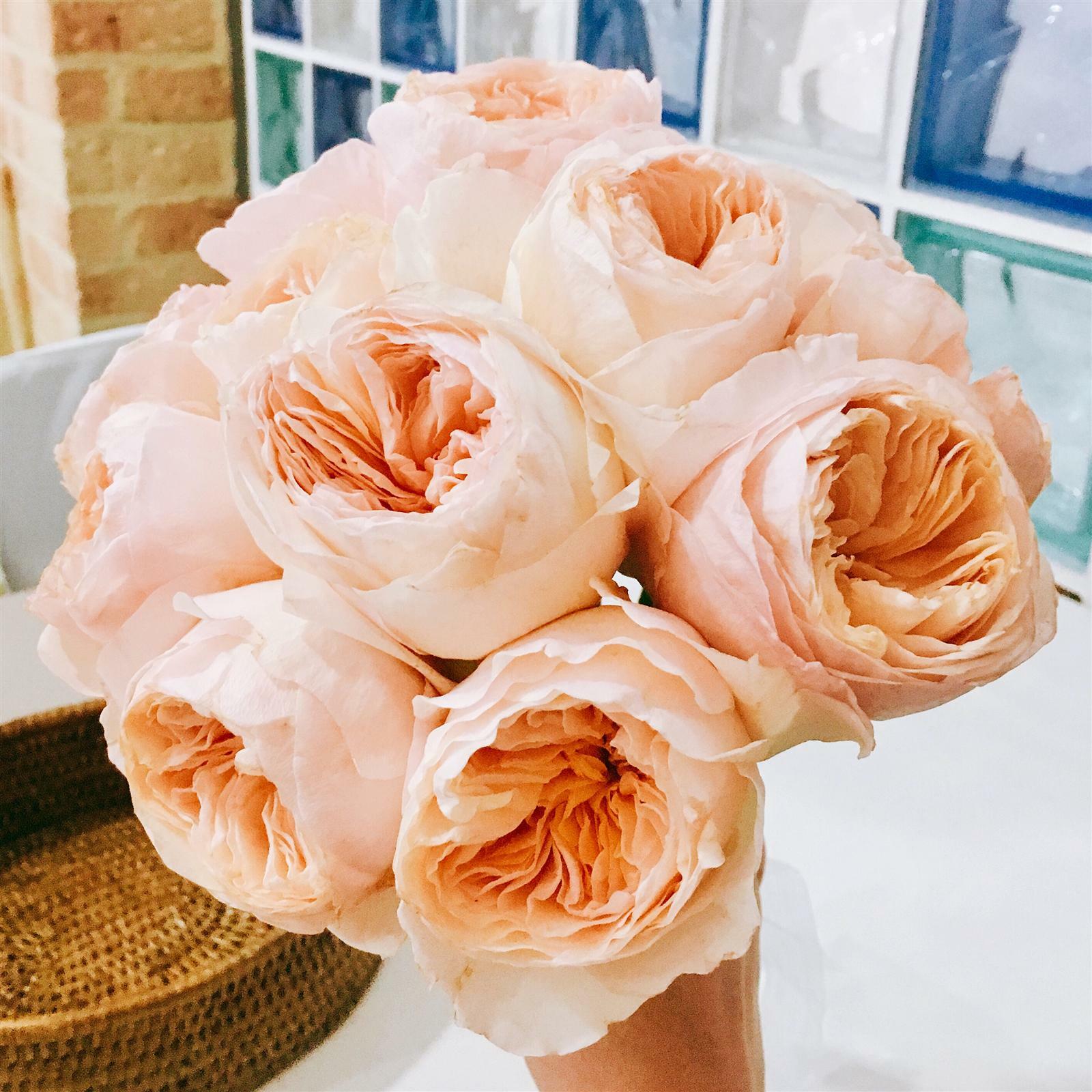 onlyeve85님의 서재