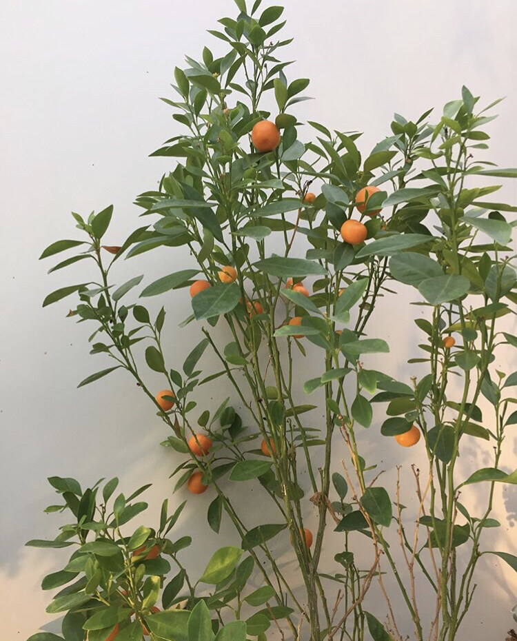 방혜원님의 서재