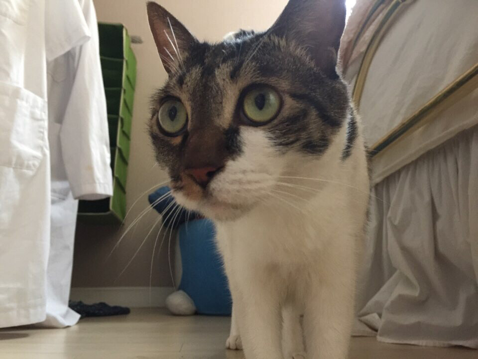 dent9019님의 서재