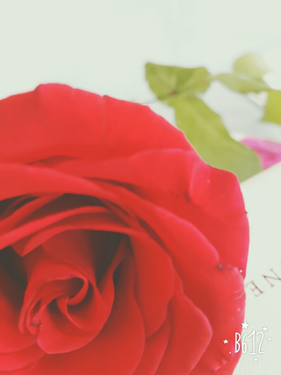 보노보노님의 서재