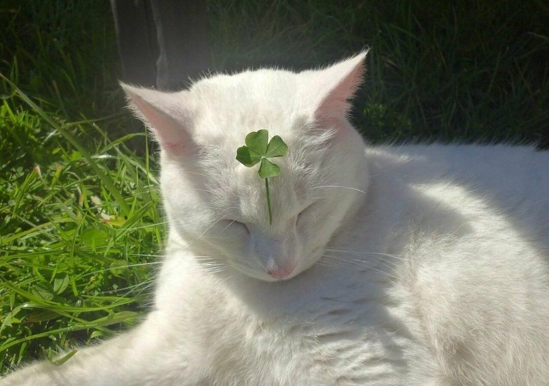 singeryebin님의 서재