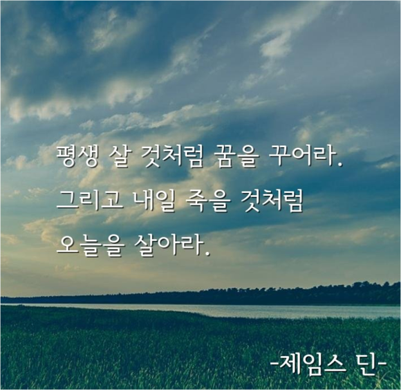 하몬의 웰빙 다이어리