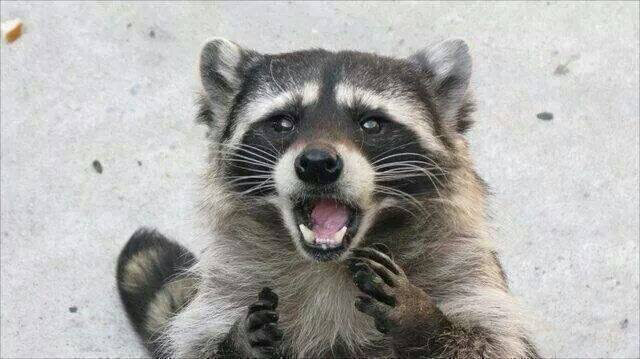 함께맞는비님의 서재