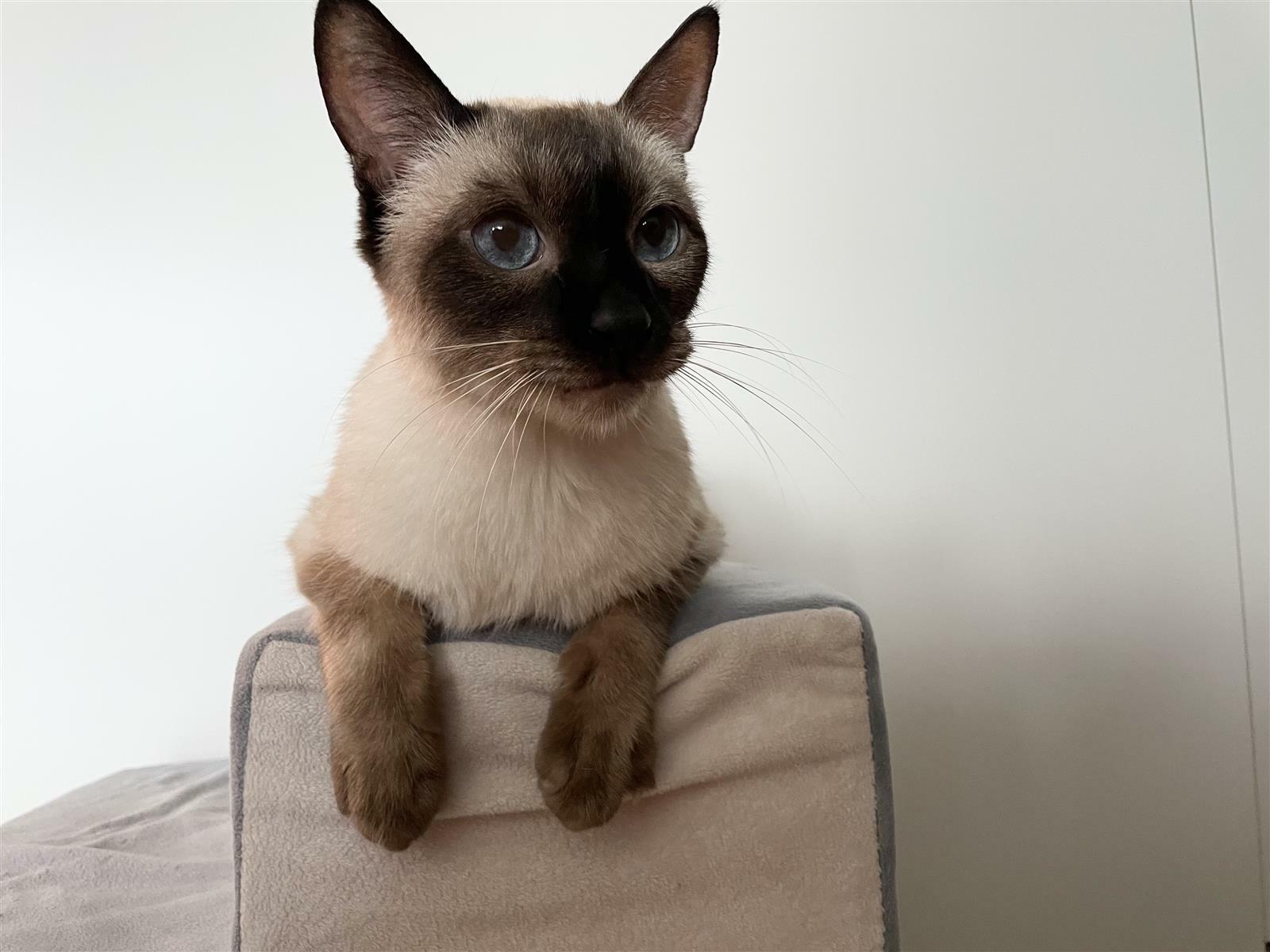 쀼잉쀼잉님의 서재