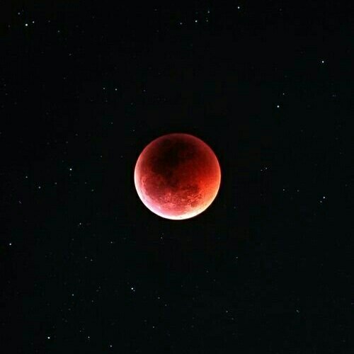 최정희님의 서재