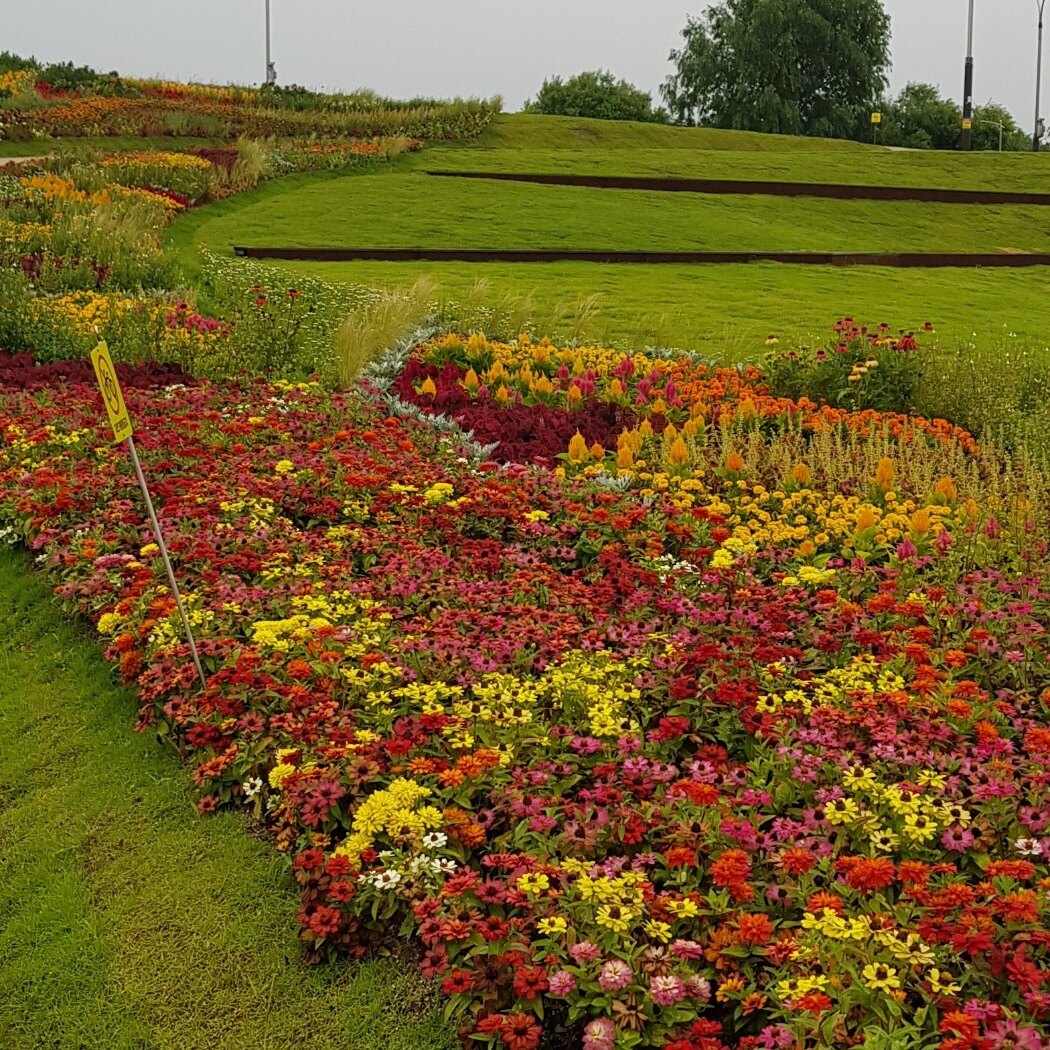 오영주님의 서재