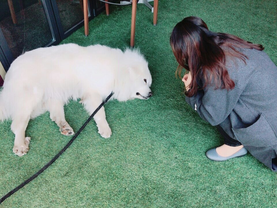 홍지혜님의 서재