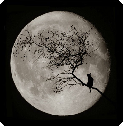 환상과 현실을 잇고, 고립시키는 그들