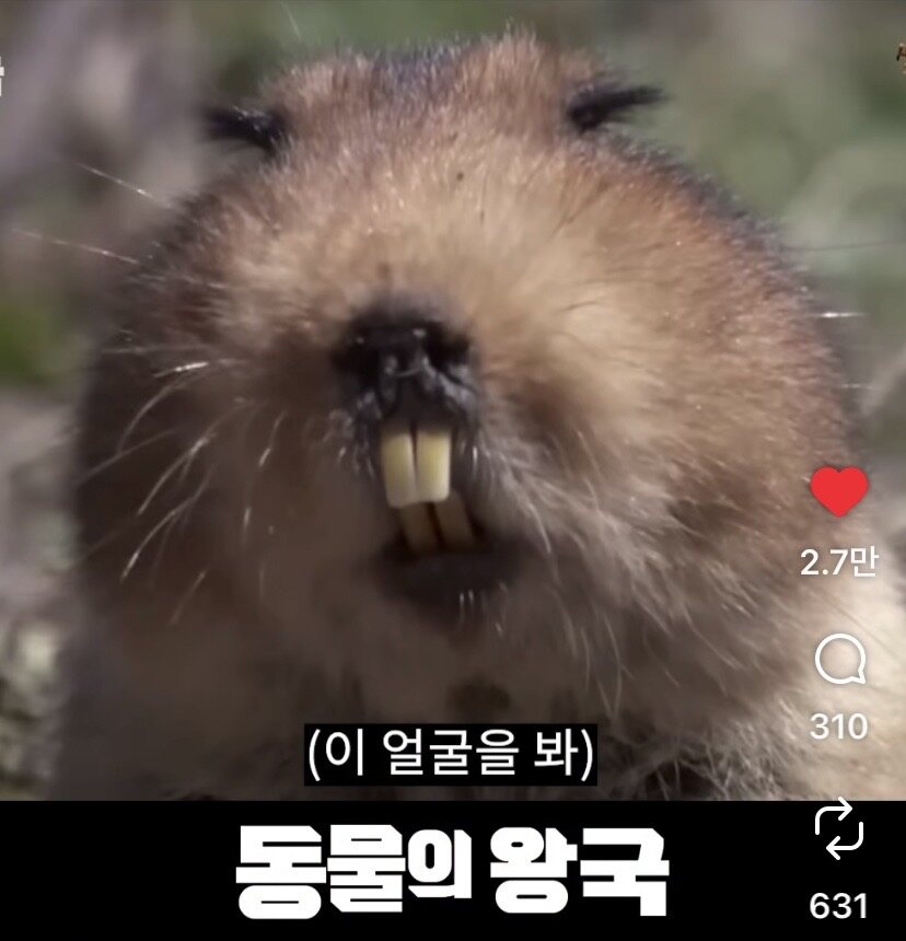 인생은 농담이다.