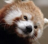 zzonbug님의 서재