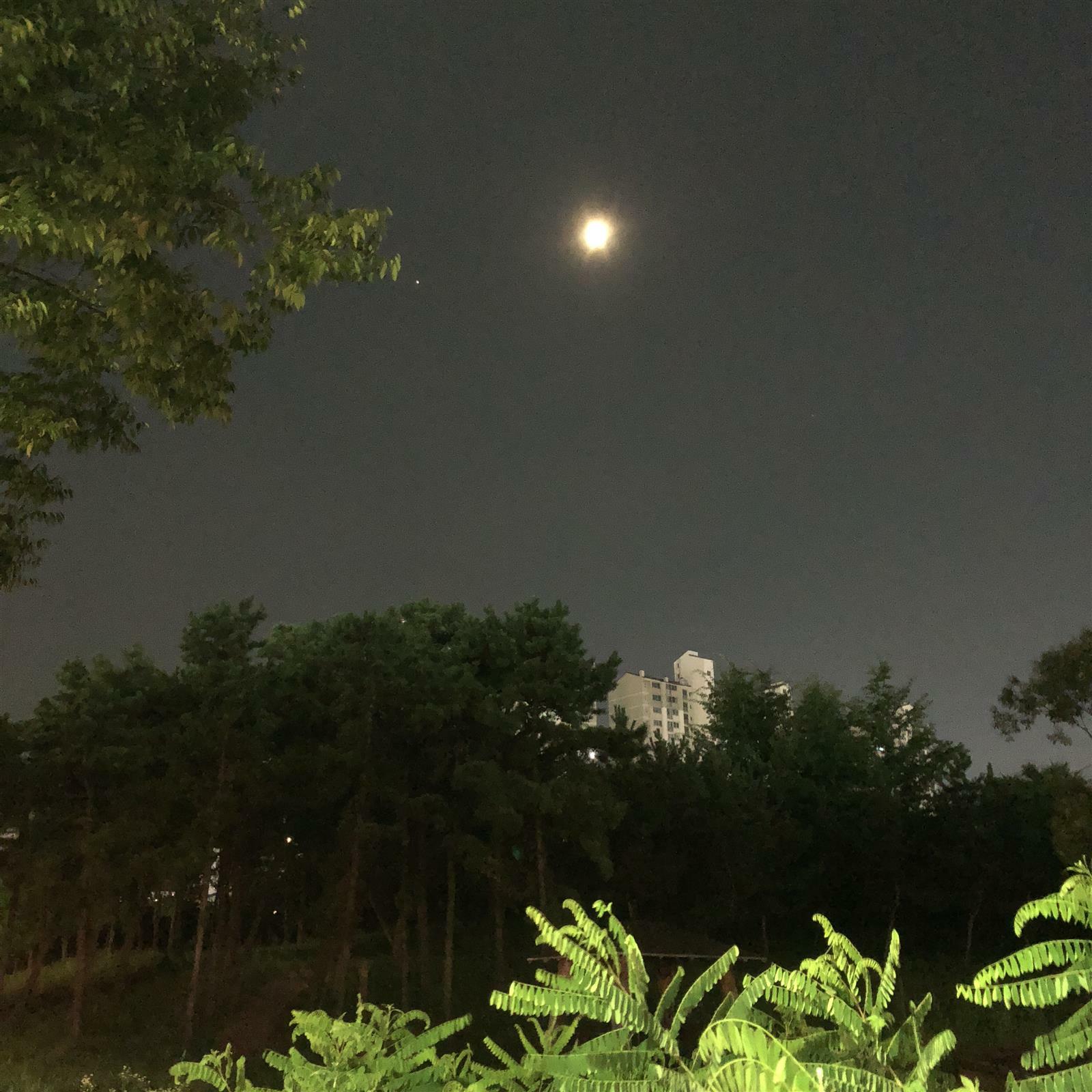 박혜림님의 서재