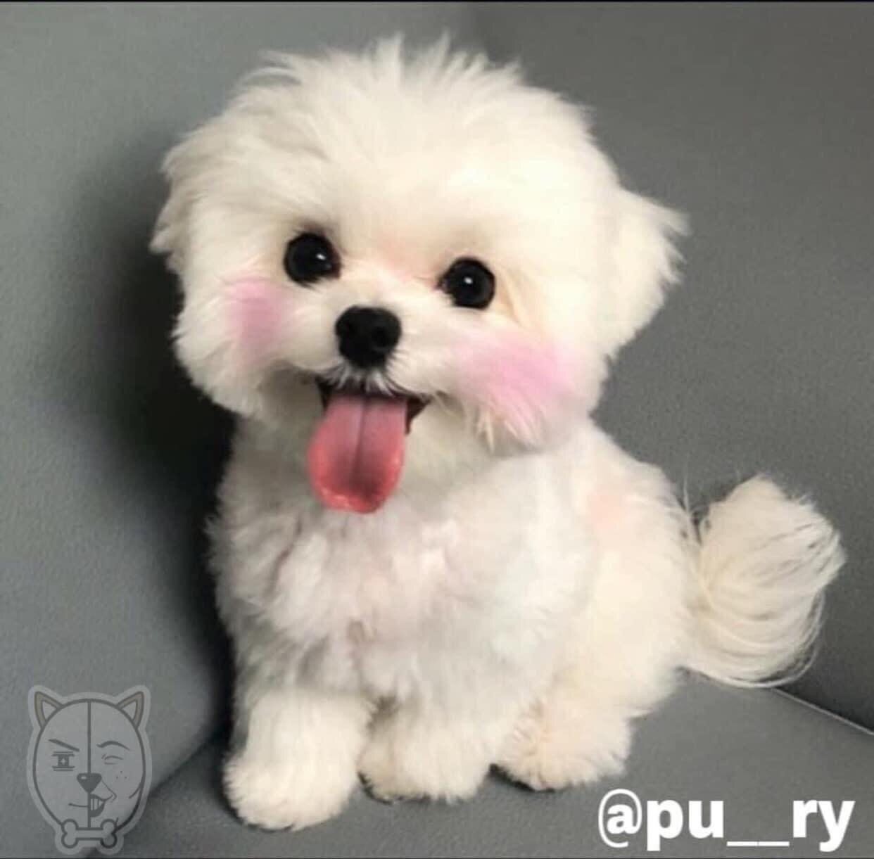 Seo  Min Kyeong님의 서재