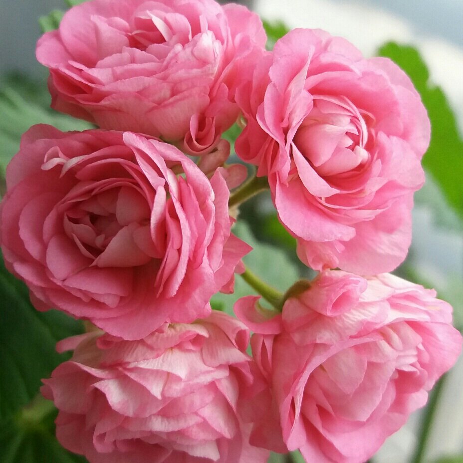 박선희님의 서재