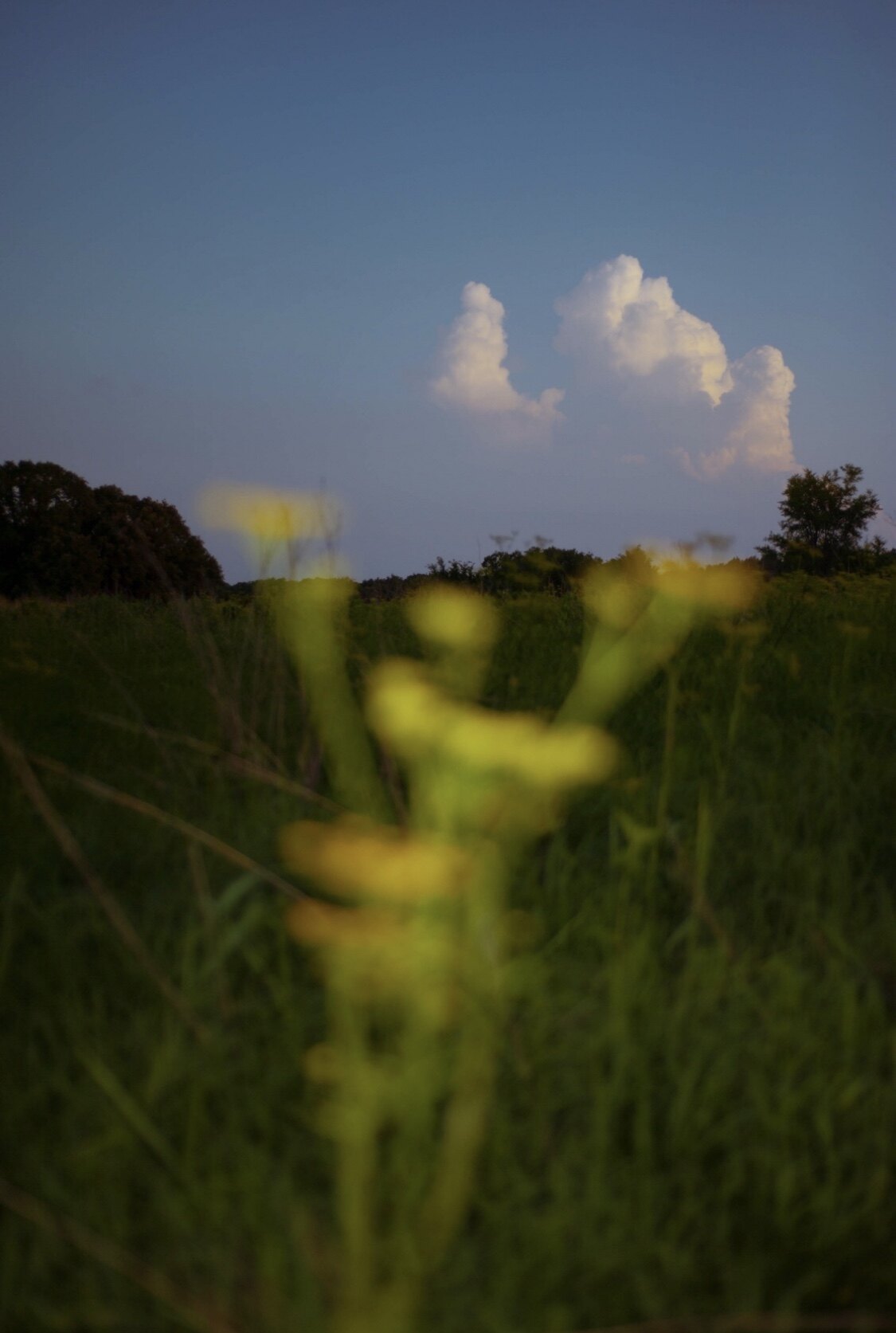 신효민님의 서재