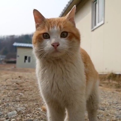 beattie32님의 서재