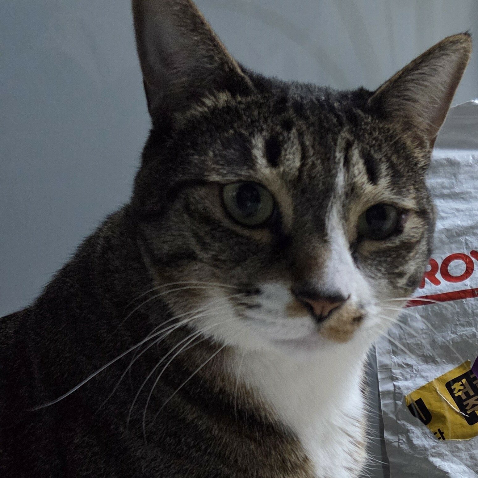 apptest님의 서재