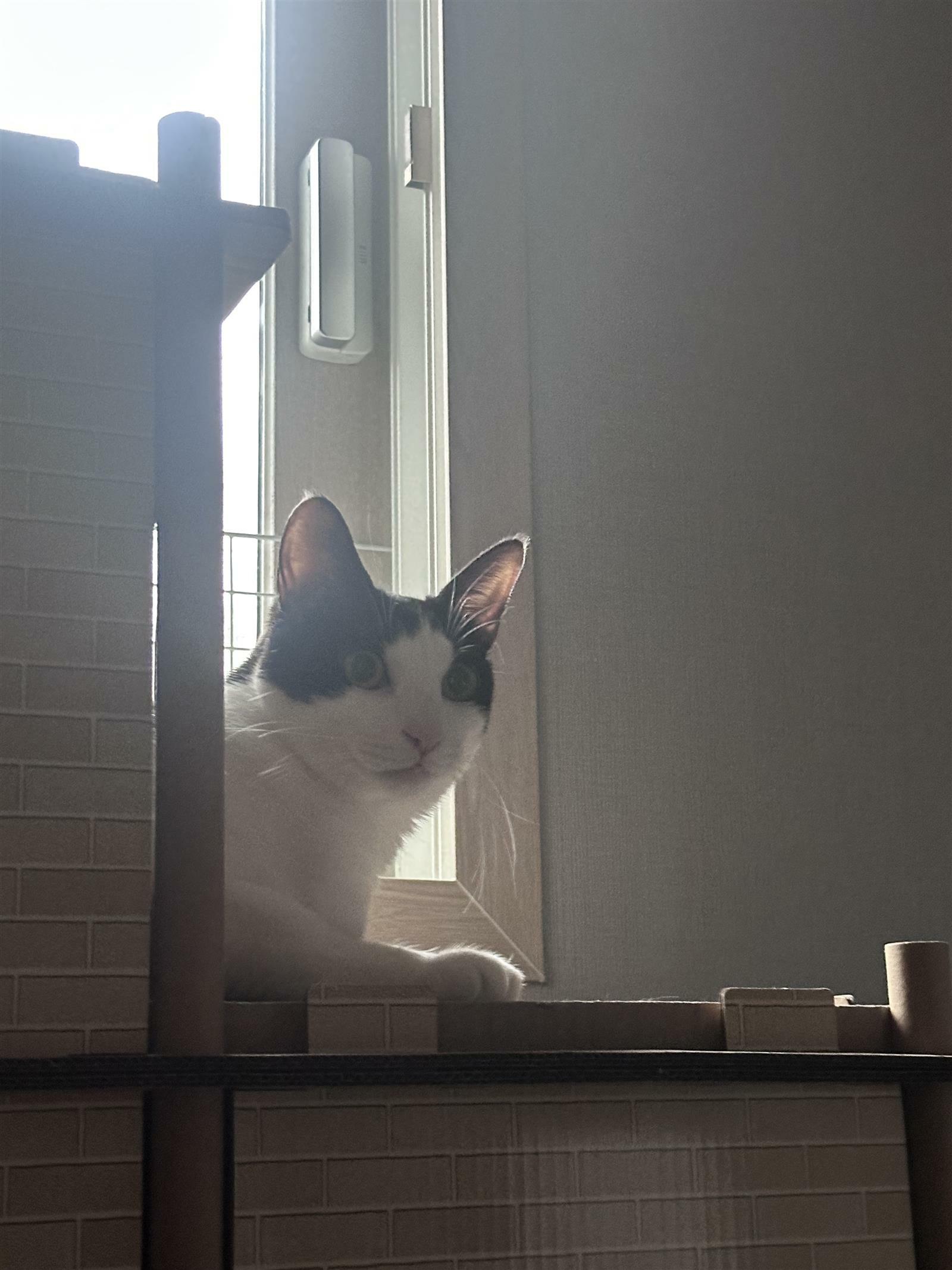 apptest님의 서재