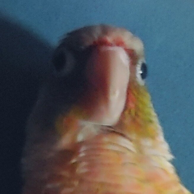 호다연님의 서재