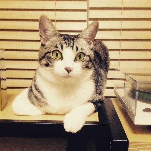 그대있음에님의 서재