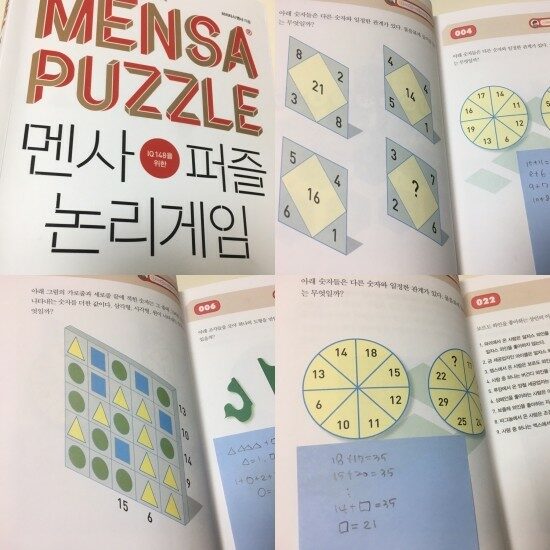 [알라딘서재]IQ 148을 위한 멘사 논리 퍼즐!! 제 두뇌의 한계에 도전해보았어요
