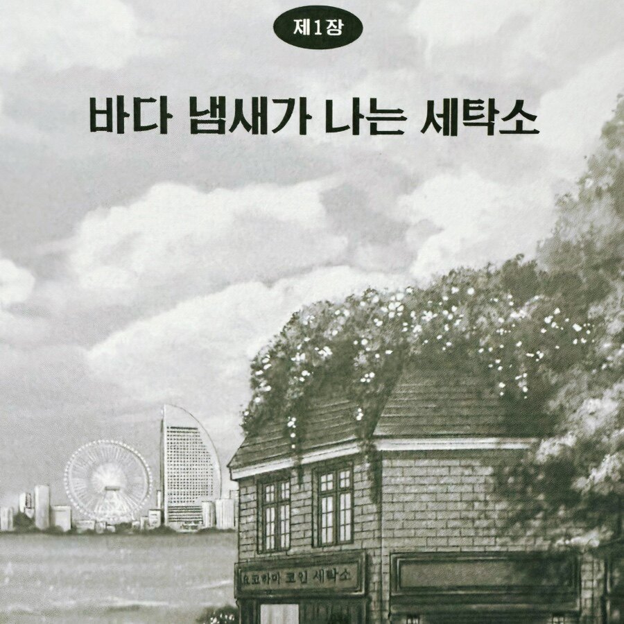 [알라딘서재]이즈미 유타카 저자(이은미 옮김)의 <요코하마 코인 세탁소>