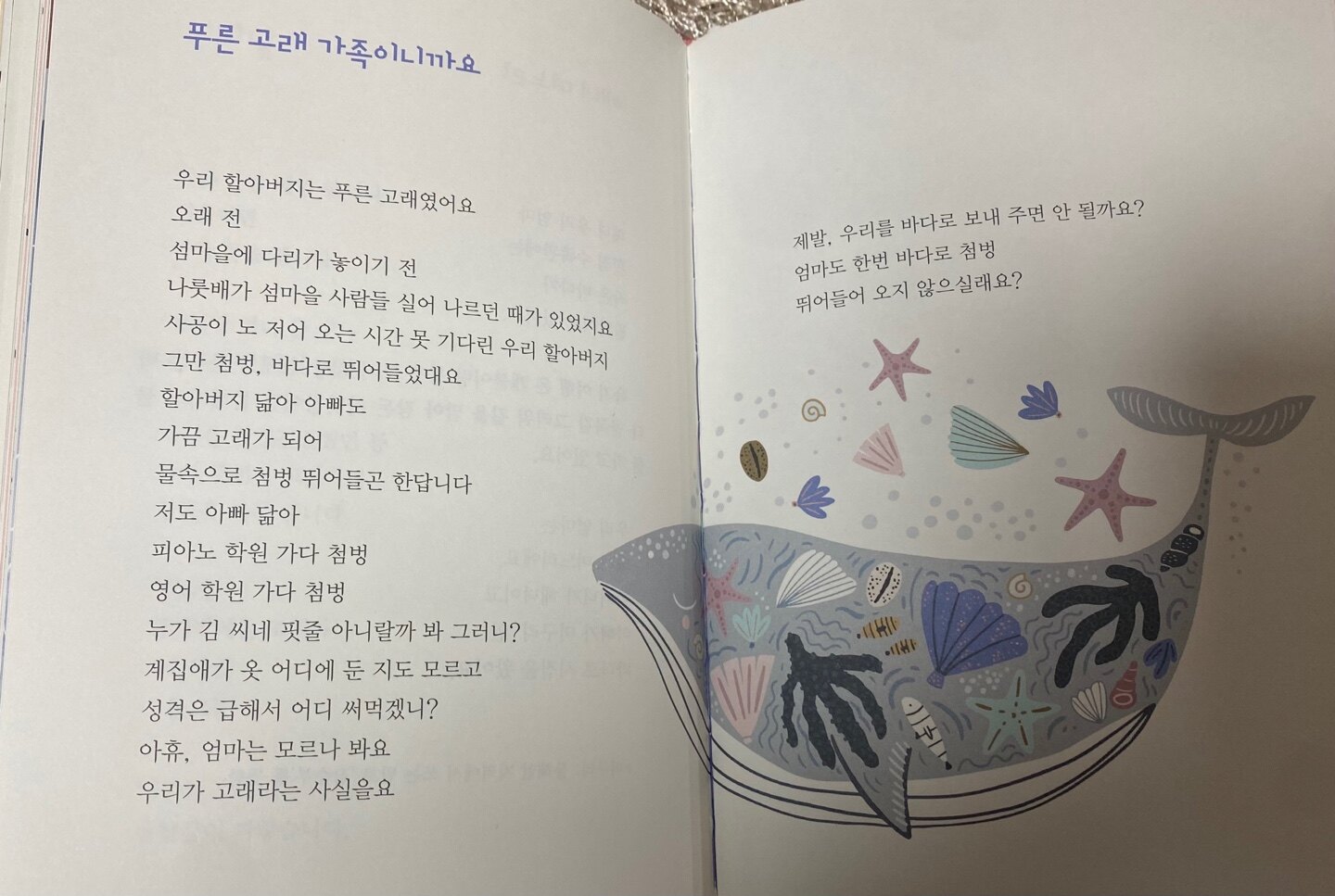 [알라딘서재]길고양이 릴리 아가씨