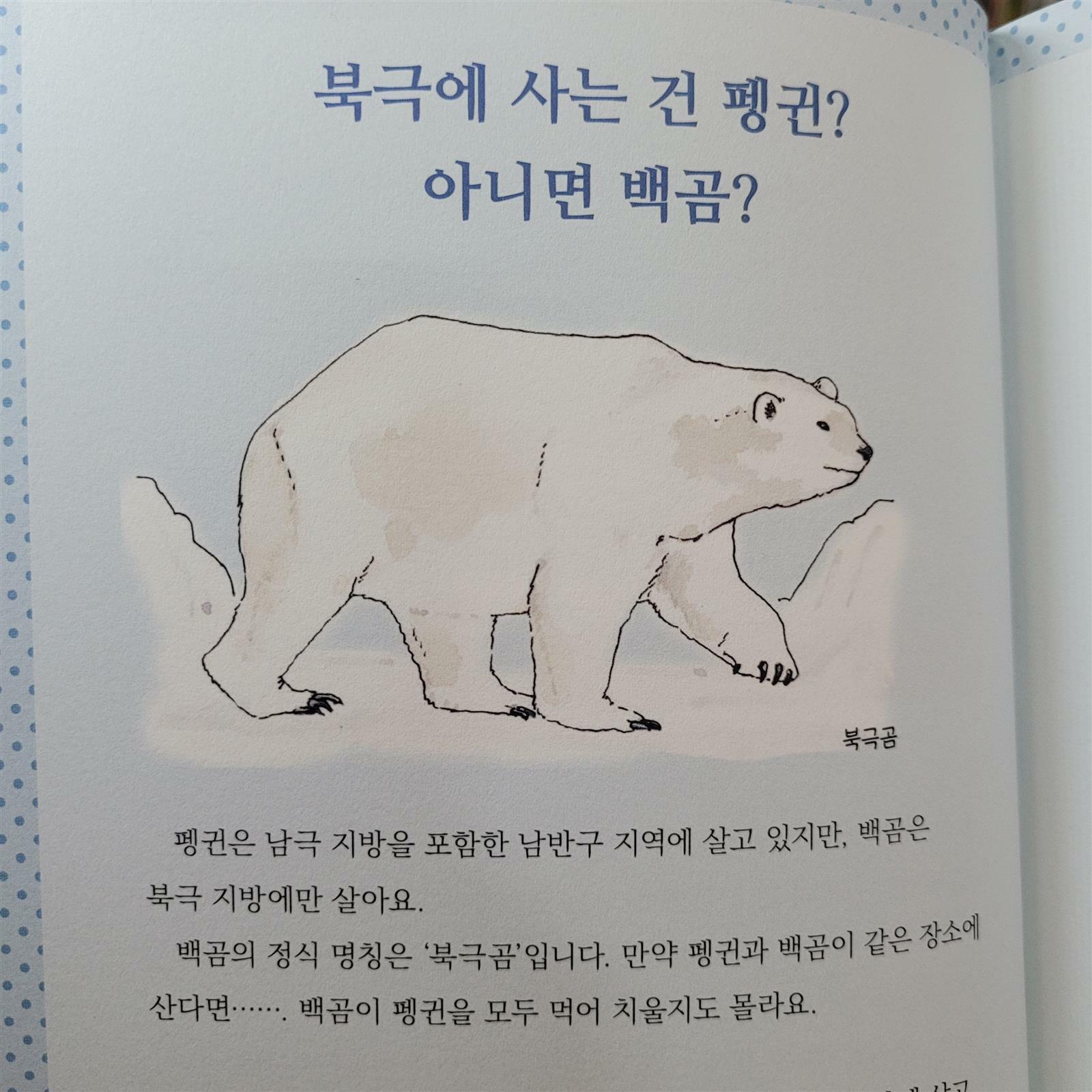 [알라딘서재]책을 통해 떠나는 북극 여행, 북극에 가 본 적 있나요?