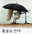 가끔 찾는 서재..^^