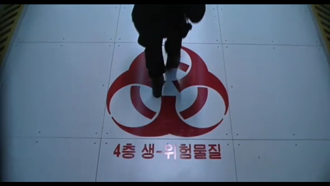 하루살이