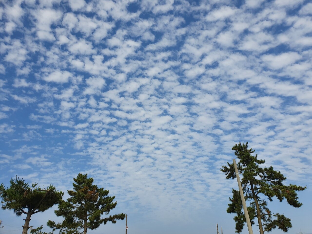 리틀루체님의 서재