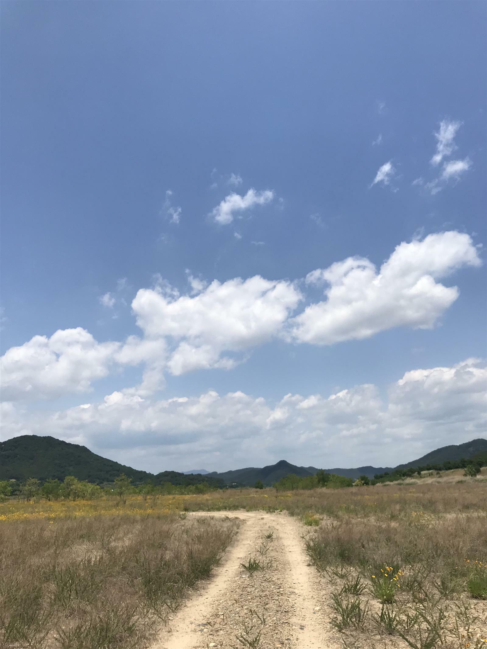 어느 게으름뱅이의 골방