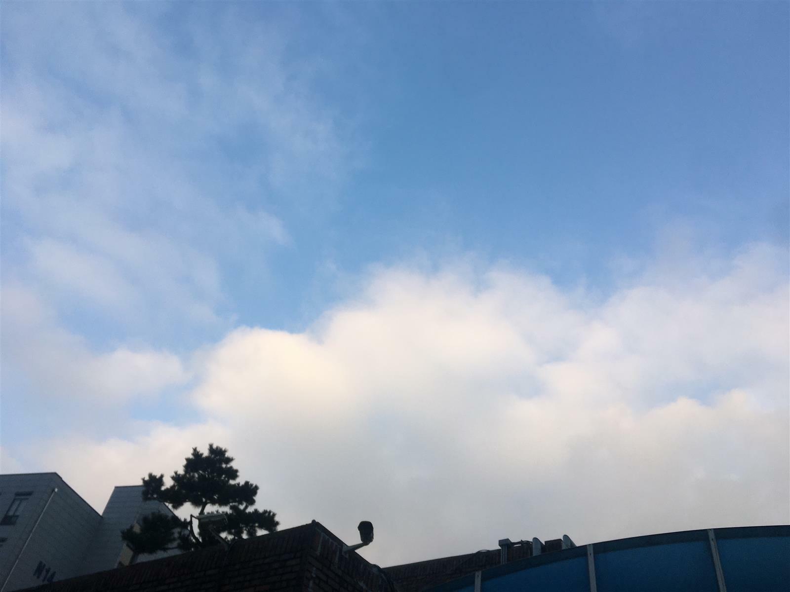 tmdxodid의 서재