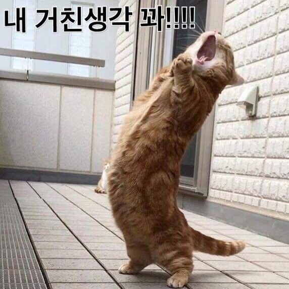 나님님의 서재