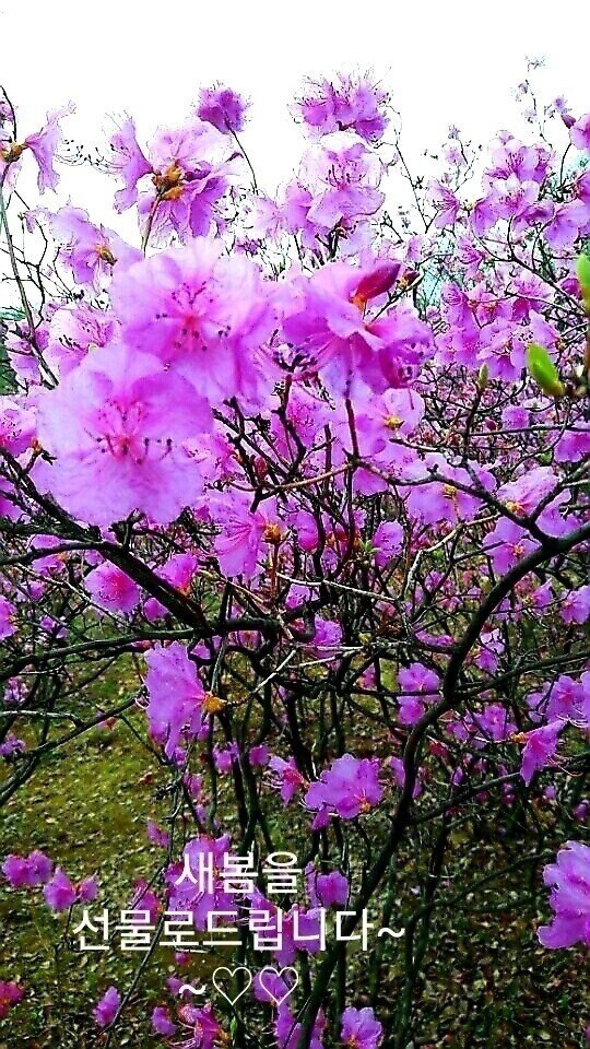 최정화님의 서재