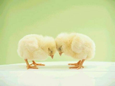 아뜨레유님의 서재