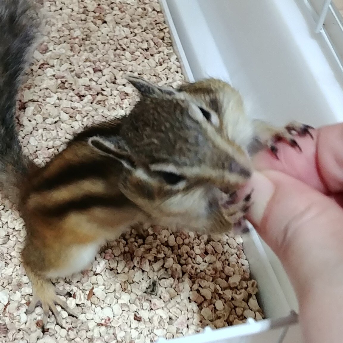방울딸기님의 서재
