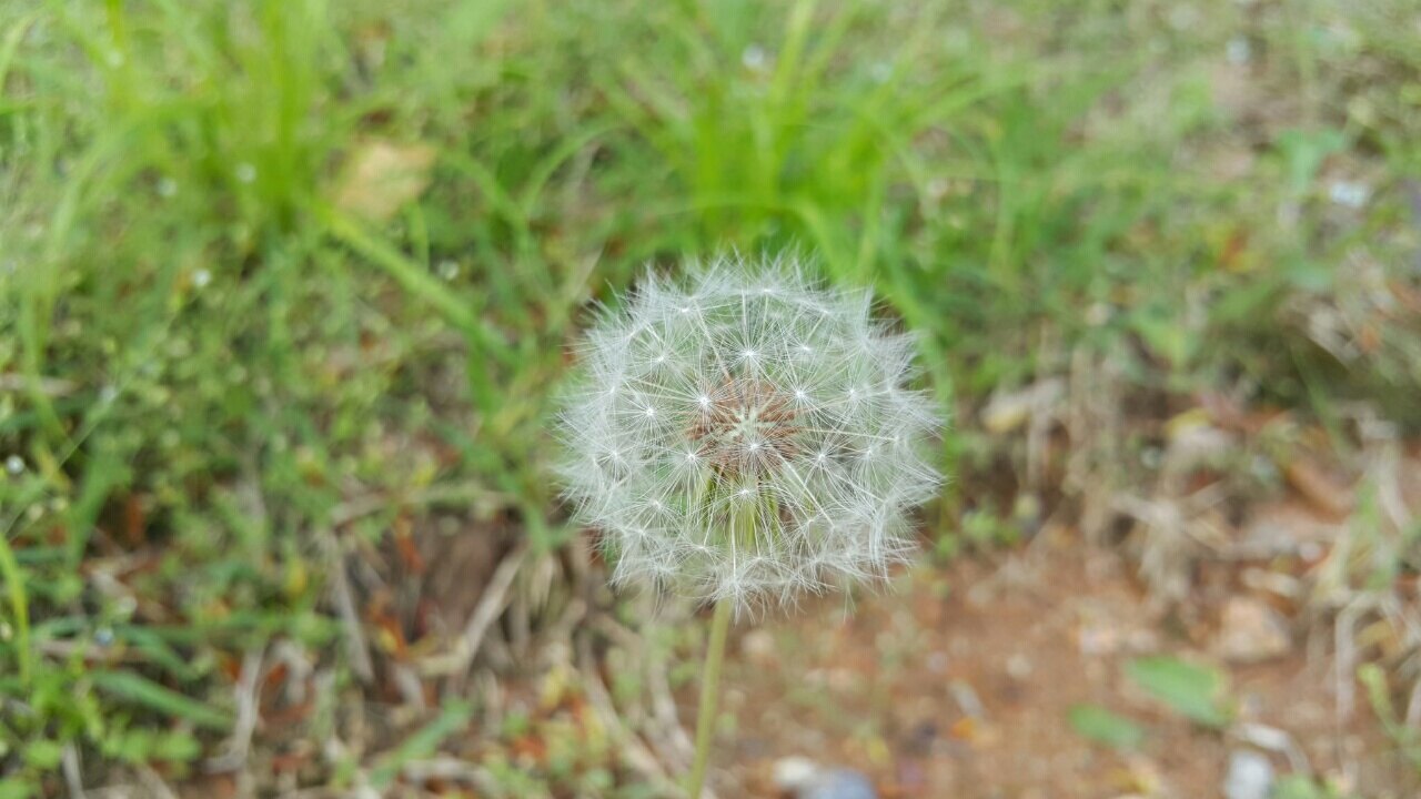 알랜드님의 서재