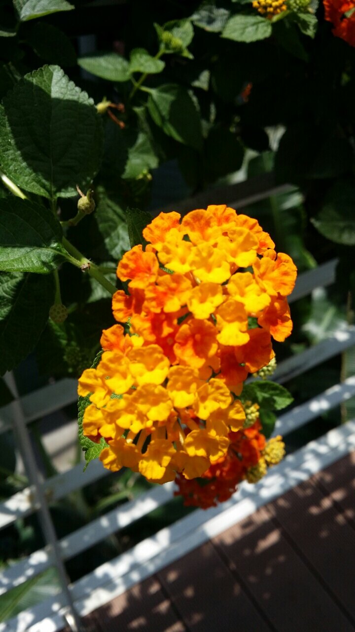 콩알님의 서재
