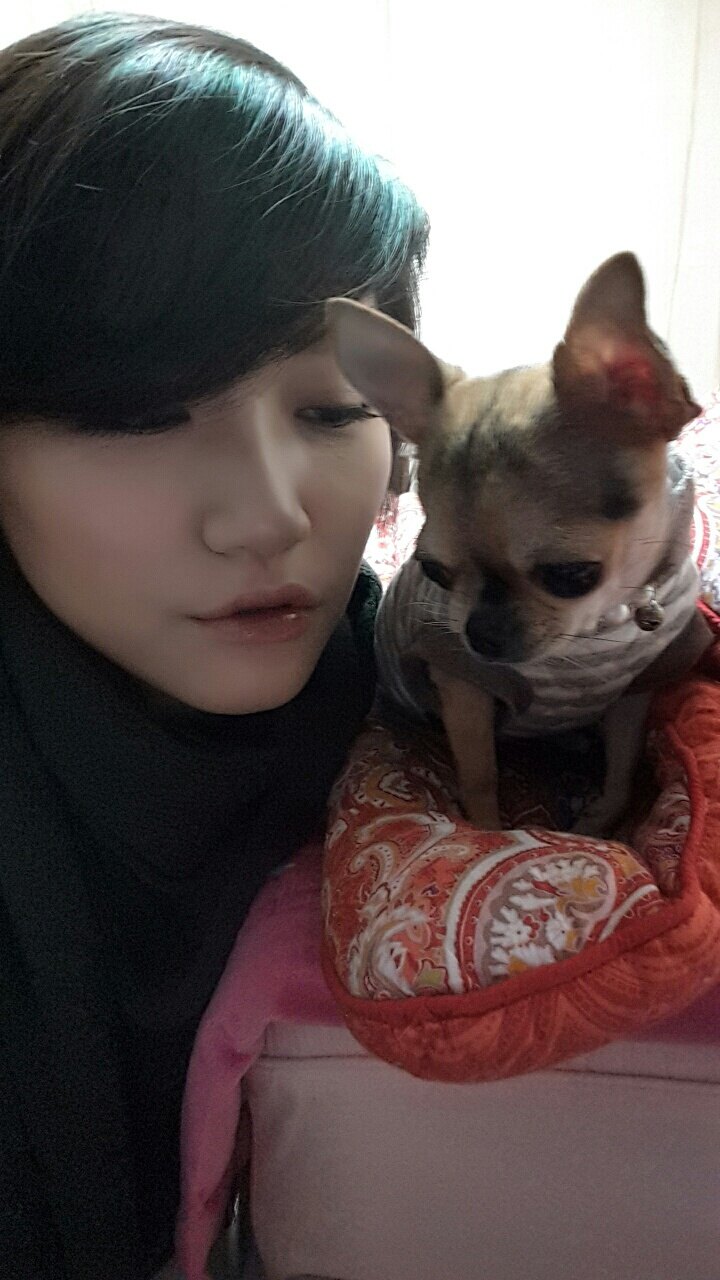 rojogato님의 서재