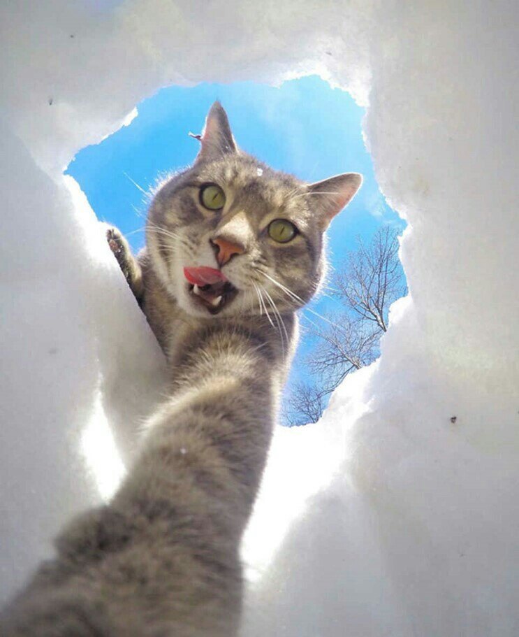 함결님의 서재