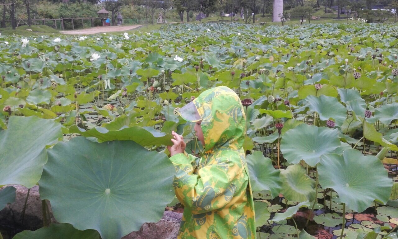 민서어뭉님의 서재