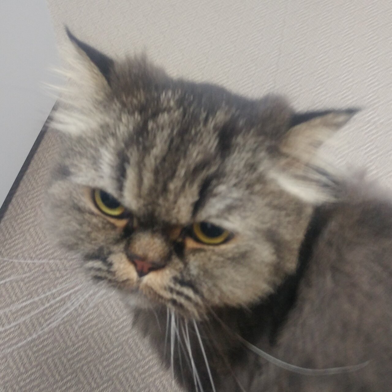 암울님의 서재
