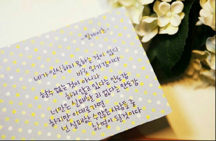 fanelia1996님의 서재
