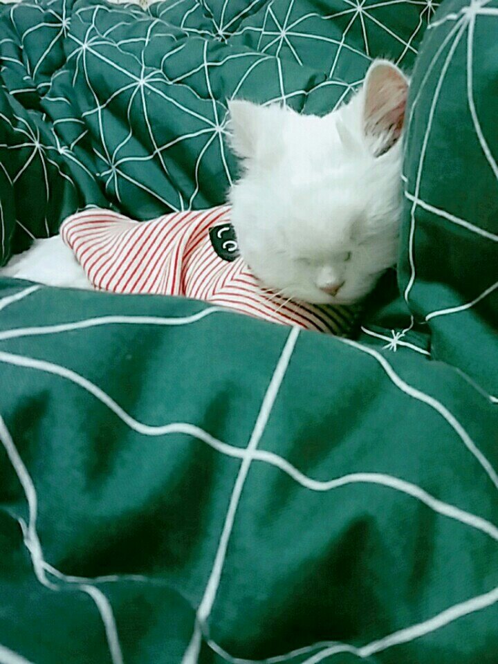 이유민님의 서재
