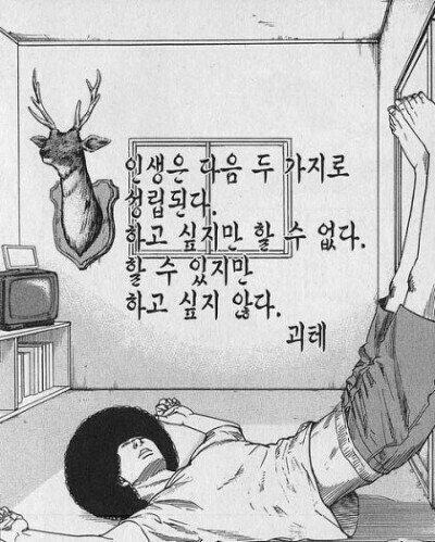 ㄴㅇ님의 서재