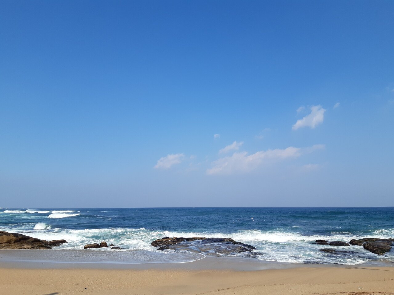자두님의 서재