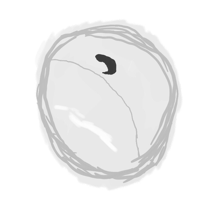 나我감