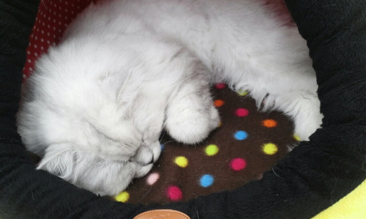 복길이님의 서재