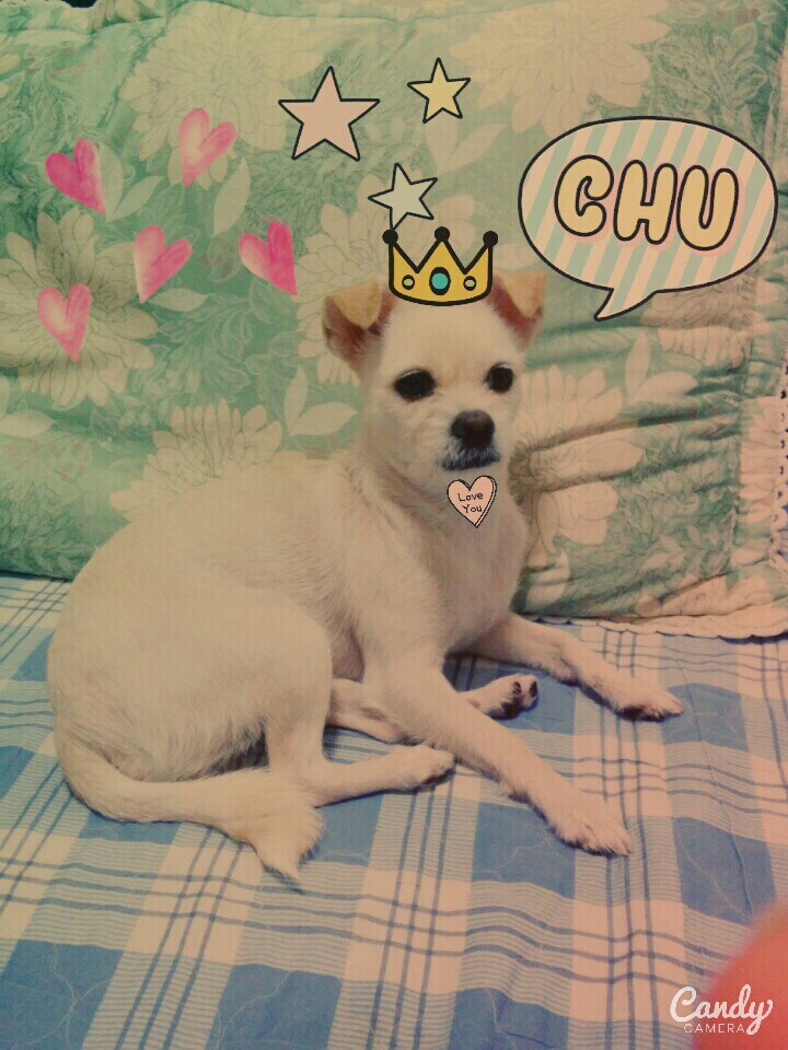 달래이모